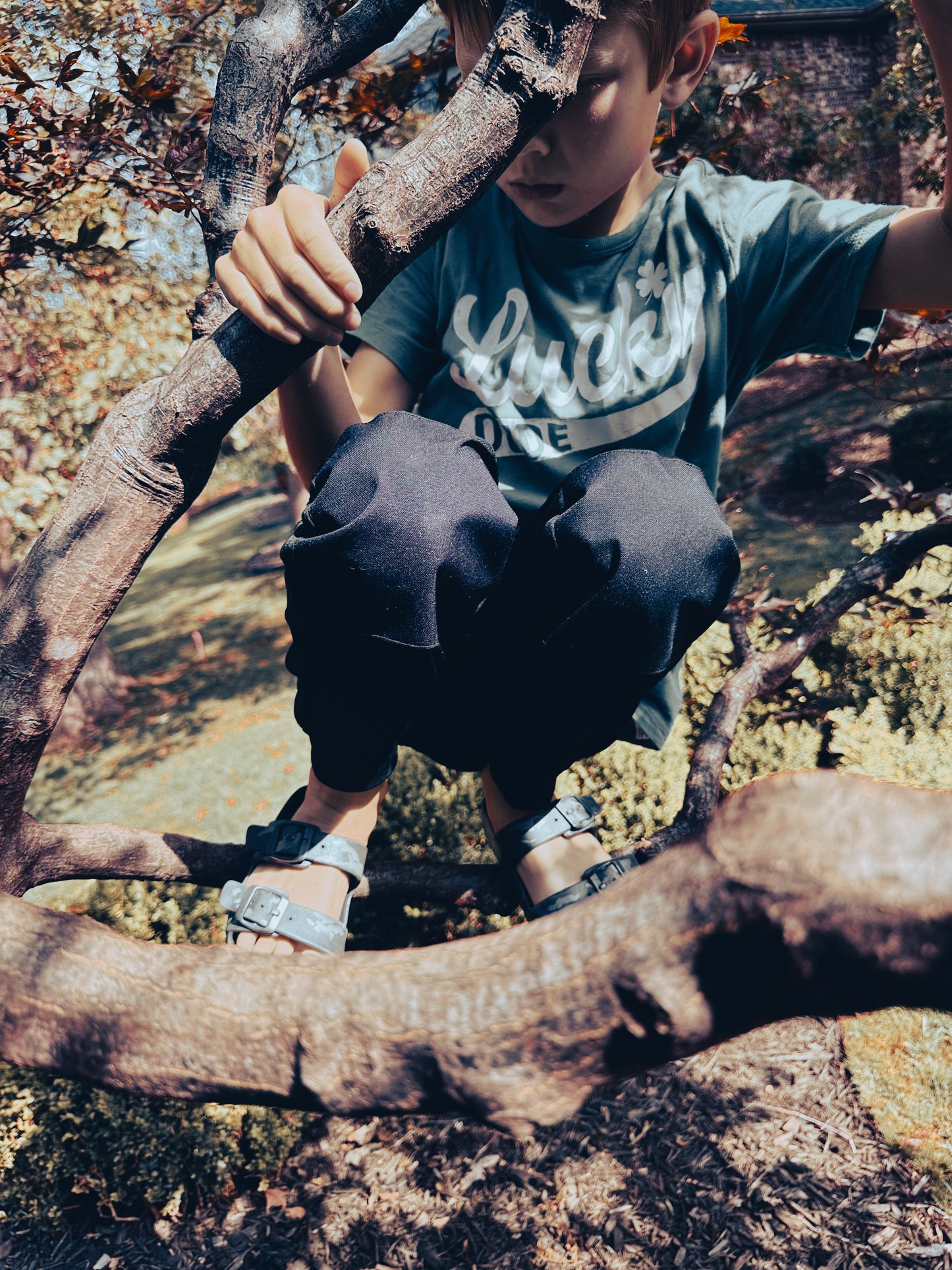 The Hudson - Original Jogger Pants